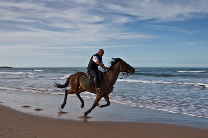 Rider