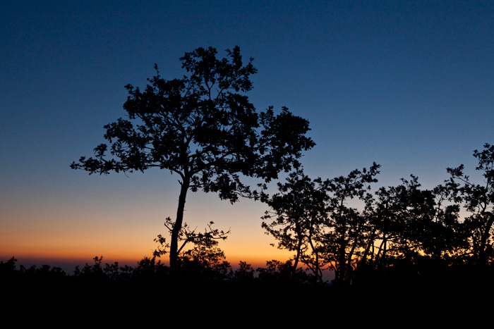 Sunrise on Monte Nero I